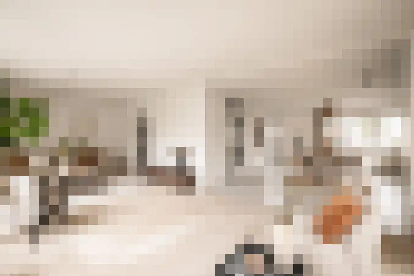 Sleedoornweg 2 Haarlem thumbnail 5