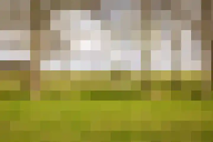 Sleedoornweg 2 Haarlem thumbnail 51