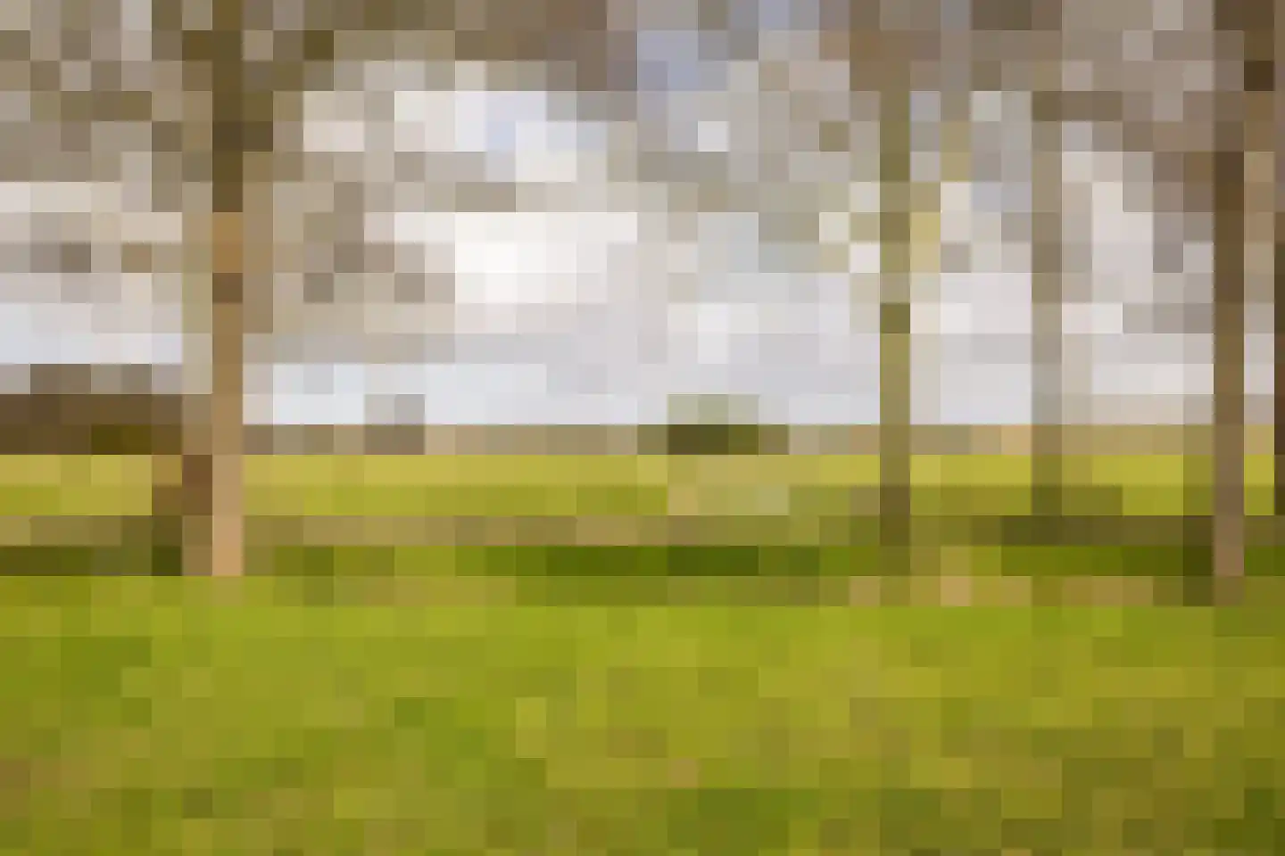Sleedoornweg 2 Haarlem thumbnail 51