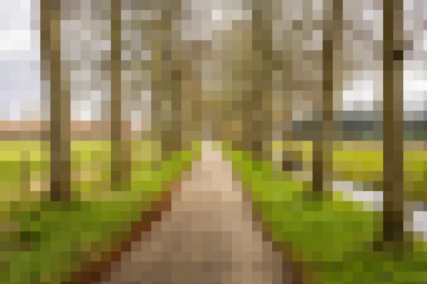 Sleedoornweg 2 Haarlem thumbnail 52