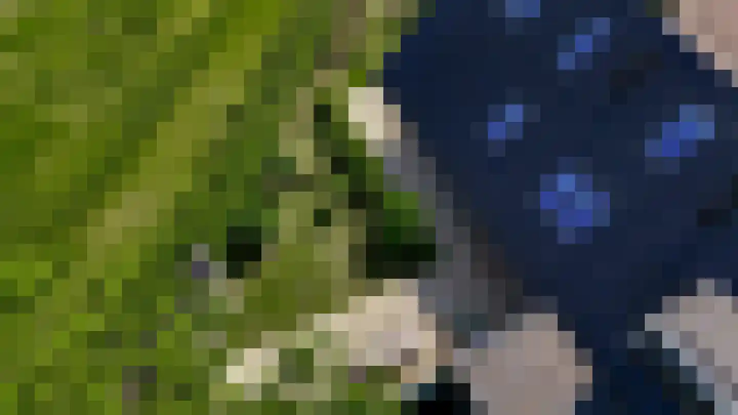 Sleeg 15 B Zevenaar thumbnail 6