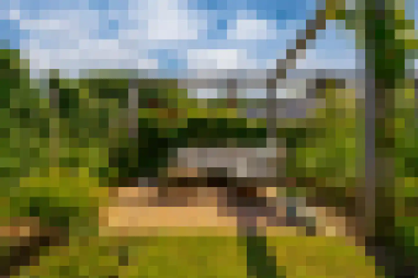 Sleeg 15 B Zevenaar thumbnail 63