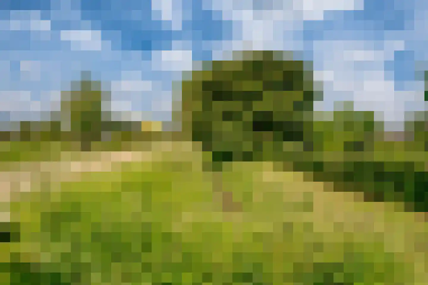 Sleeg 15 B Zevenaar thumbnail 69