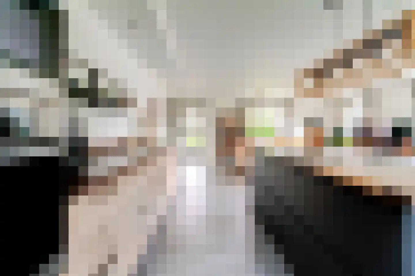 Sleeg 7 Zevenaar thumbnail 21