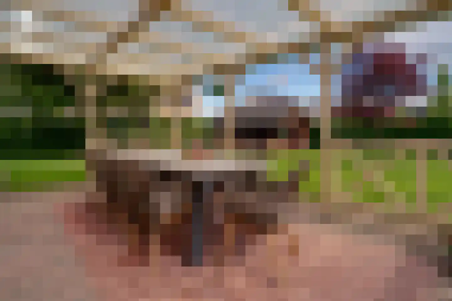 Sleeg 7 Zevenaar thumbnail 26