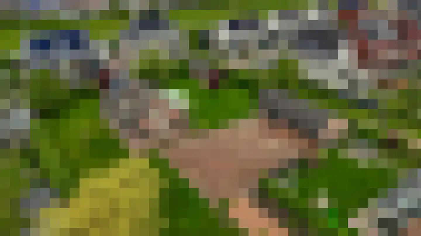 Sleeg 7 Zevenaar thumbnail 4