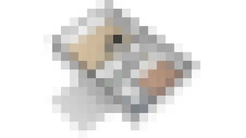 Sleeg 7 Zevenaar thumbnail 67
