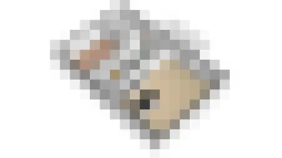 Sleeg 7 Zevenaar thumbnail 68