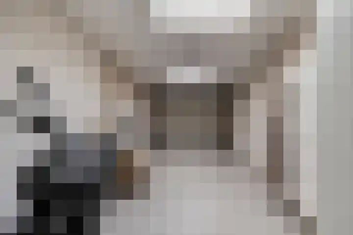 Sleen 7 Heijen thumbnail 19