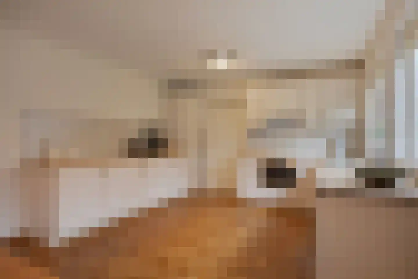 Sleen 7 Heijen foto 3