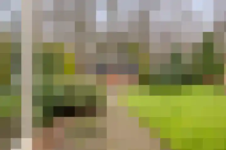 Sleen 7 Heijen thumbnail 37