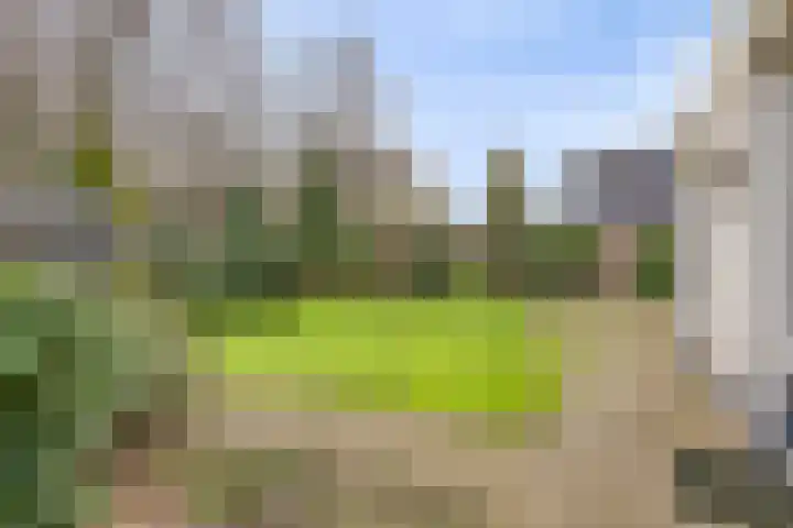 Sleen 7 Heijen thumbnail 38