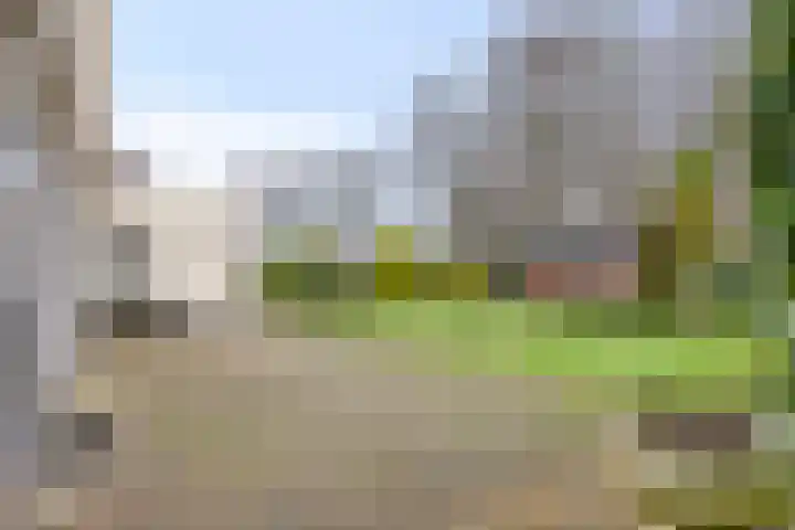 Sleen 7 Heijen thumbnail 4