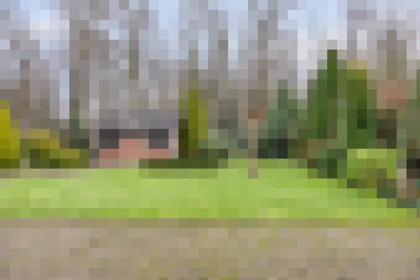 Sleen 7 Heijen thumbnail 40