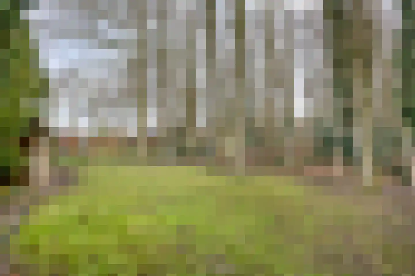 Sleen 7 Heijen thumbnail 41