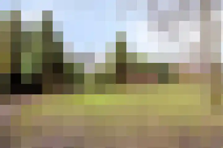 Sleen 7 Heijen thumbnail 42