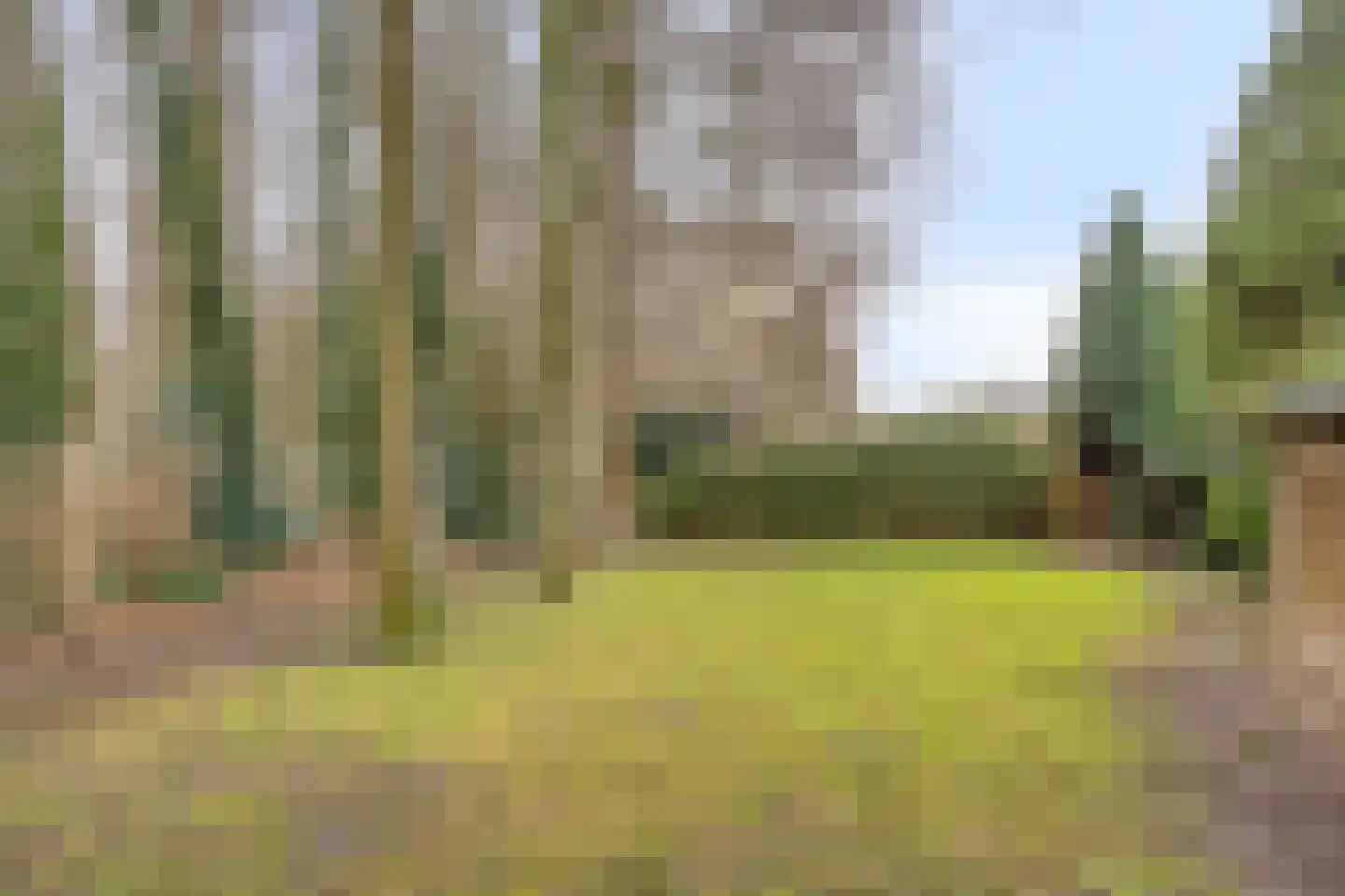 Sleen 7 Heijen thumbnail 43