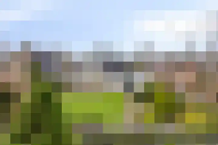 Sleen 7 Heijen thumbnail 46