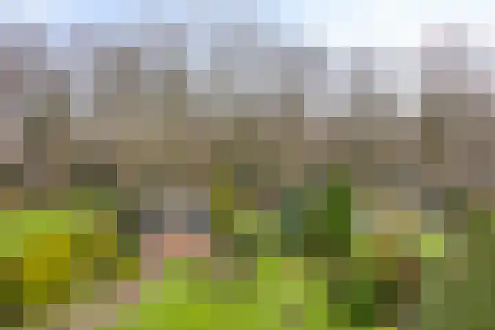 Sleen 7 Heijen thumbnail 48