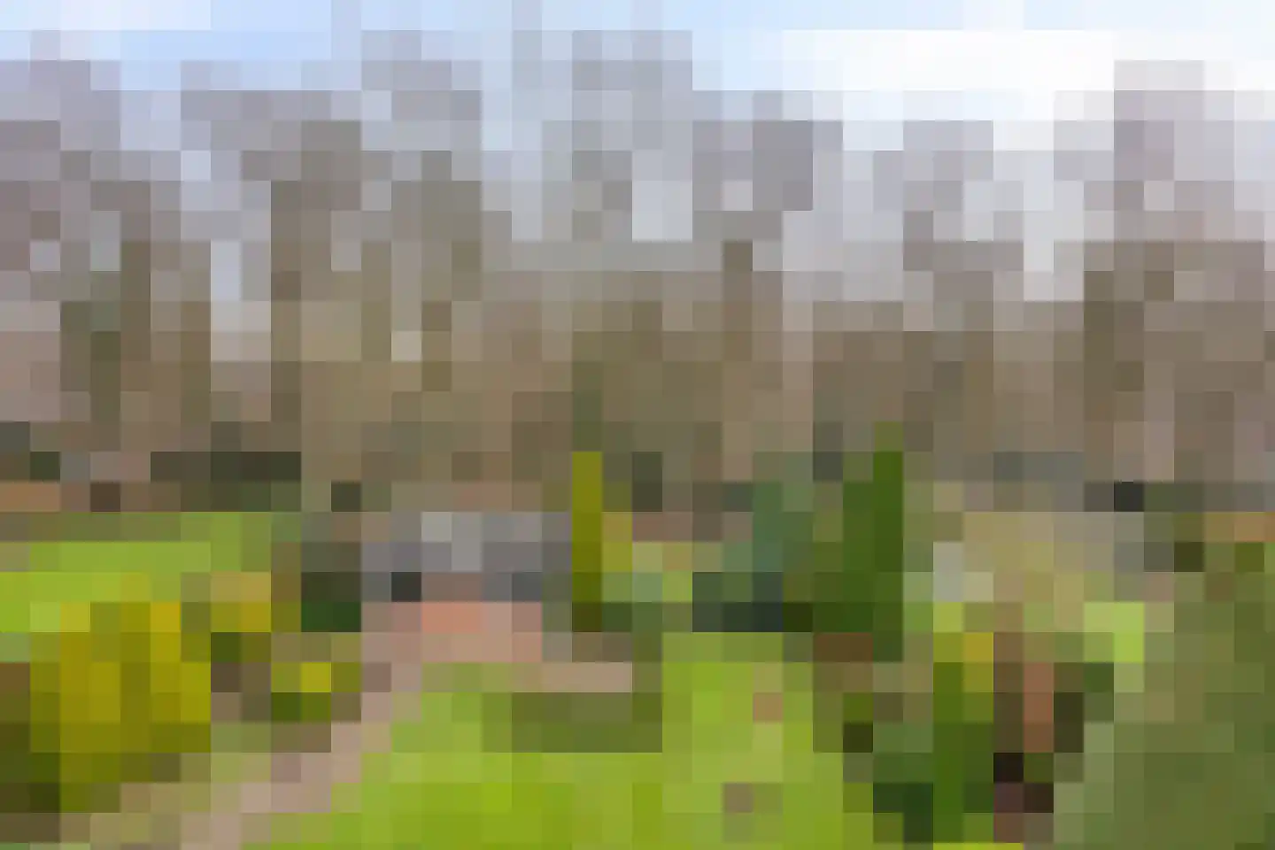 Sleen 7 Heijen thumbnail 48