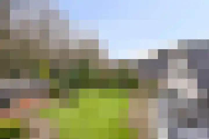 Sleen 7 Heijen thumbnail 49
