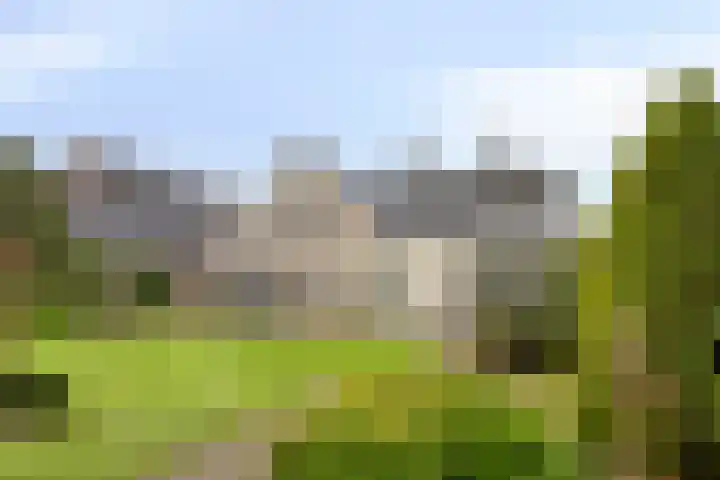 Sleen 7 Heijen thumbnail 5