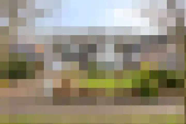 Sleen 7 Heijen thumbnail 50