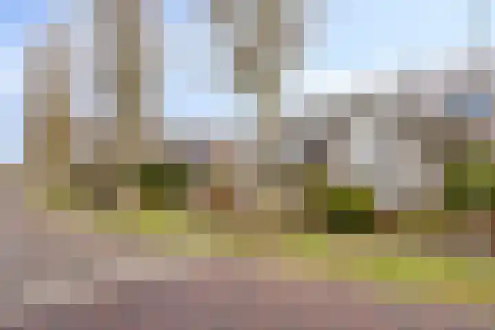 Sleen 7 Heijen thumbnail 51