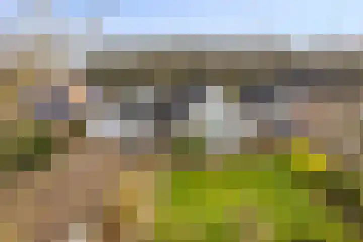 Sleen 7 Heijen thumbnail 53