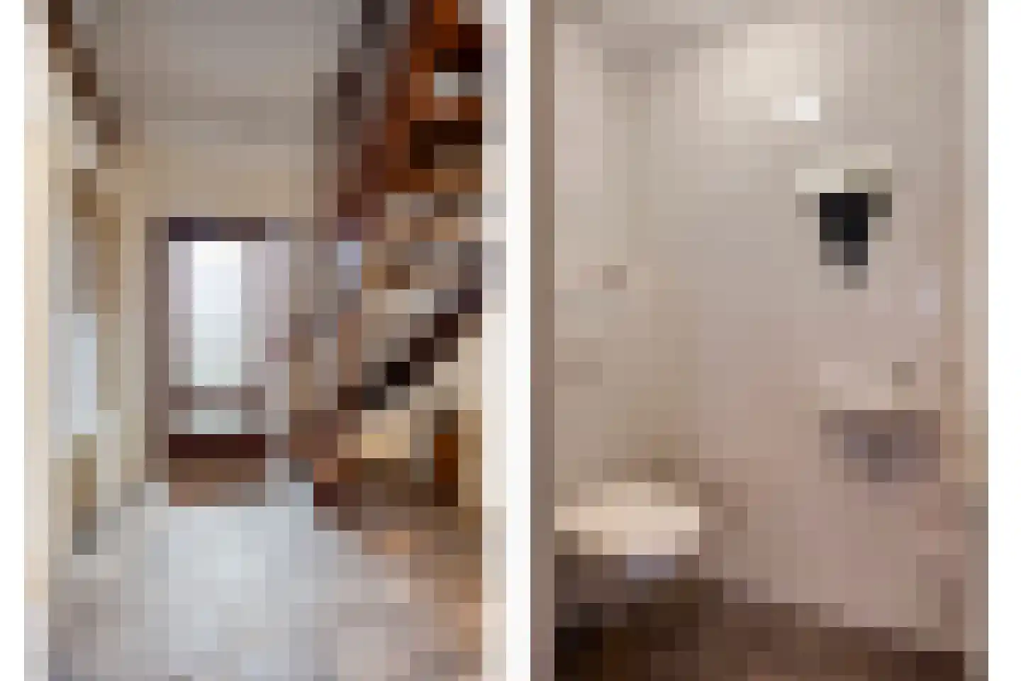 Sleen 7 Heijen thumbnail 8
