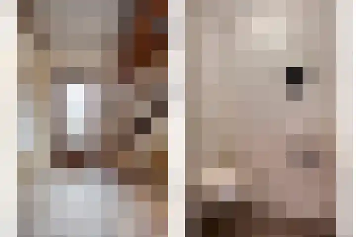 Sleen 7 Heijen thumbnail 8