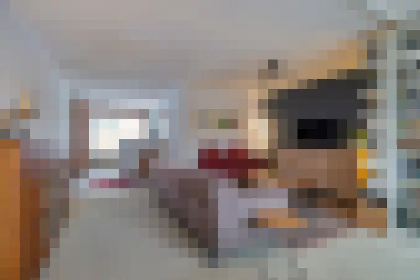 Sleënburgsestraat 4 Zetten thumbnail 16