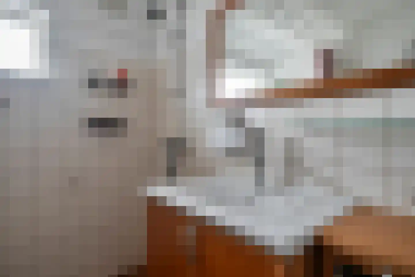 Sleënburgsestraat 4 Zetten thumbnail 32