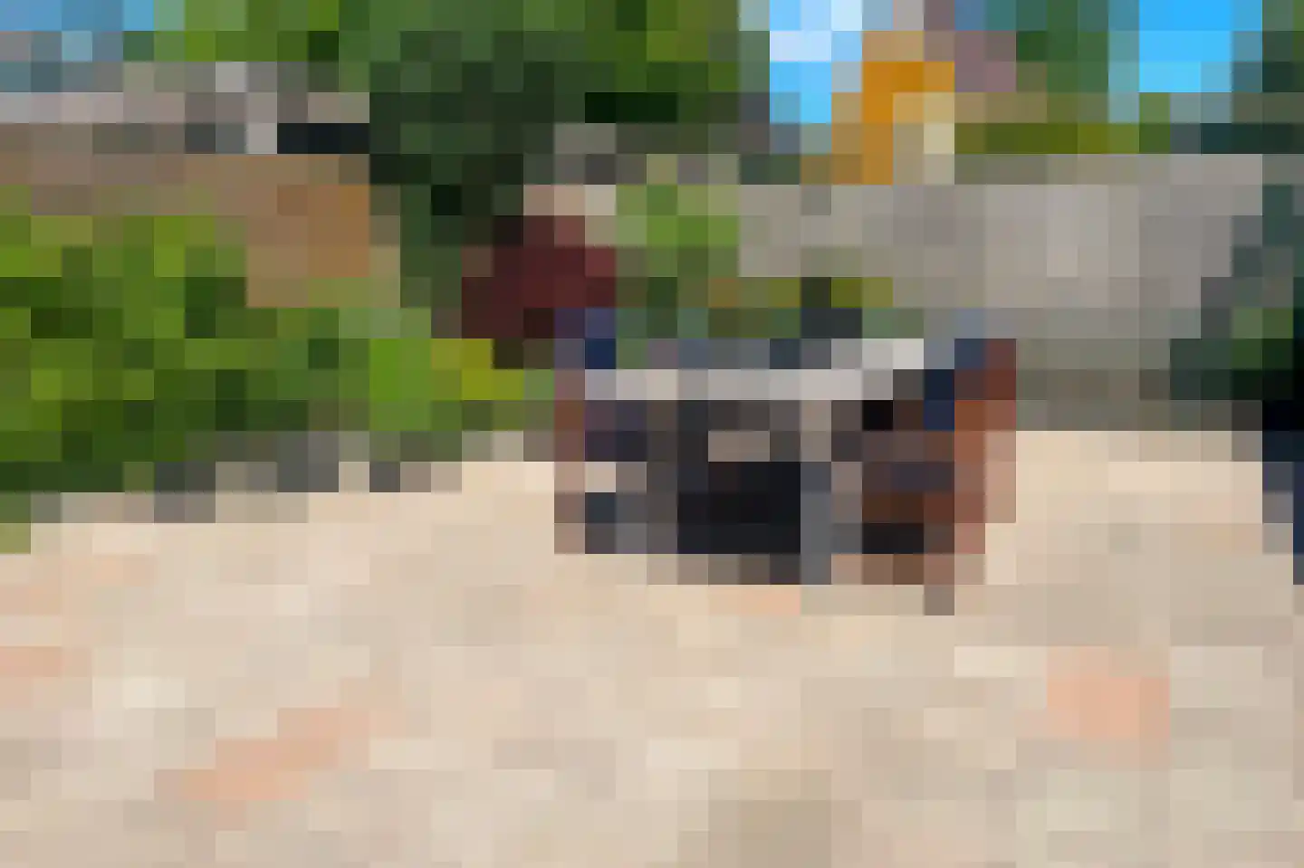 Sleënburgsestraat 4 Zetten thumbnail 42