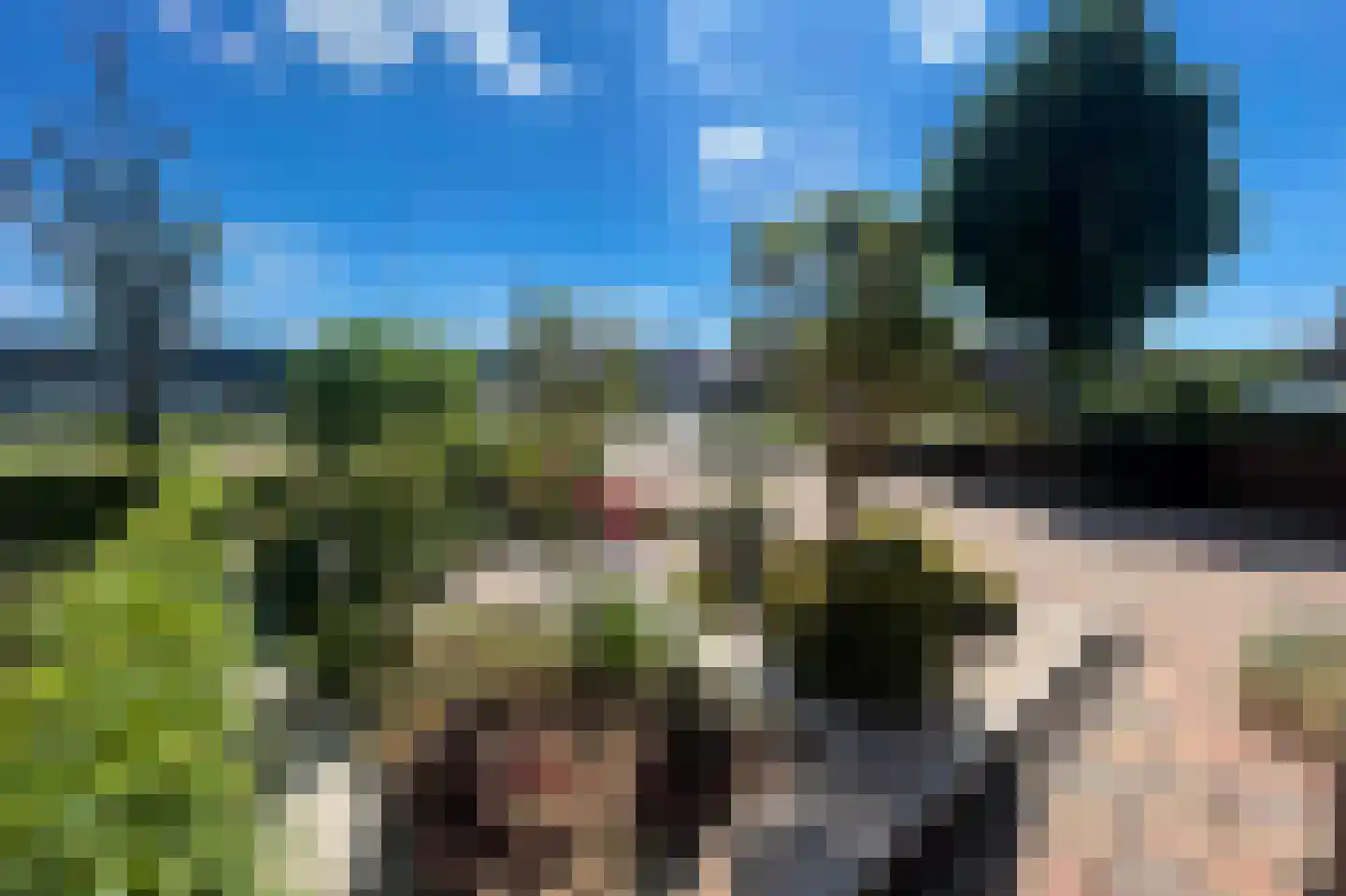 Sleënburgsestraat 4 Zetten thumbnail 8
