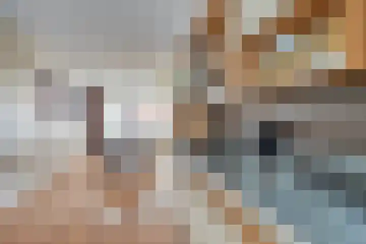Sleep 5 Papendrecht thumbnail 15