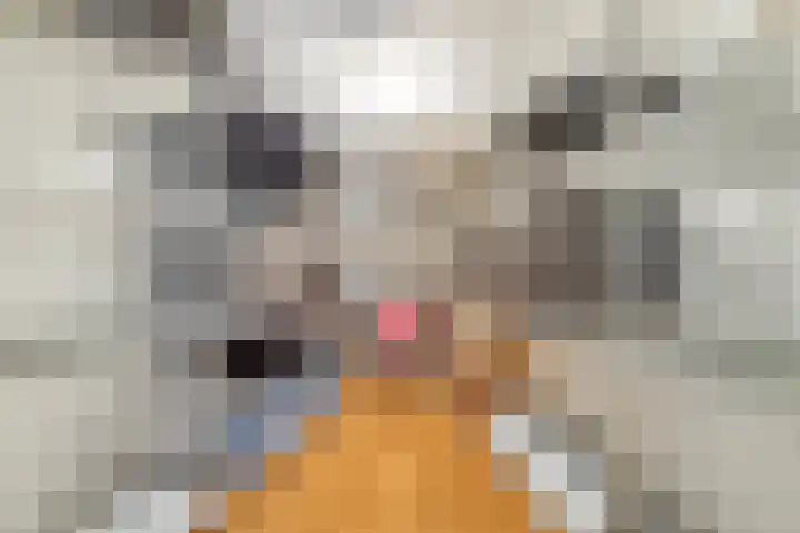 Sleep 5 Papendrecht thumbnail 21