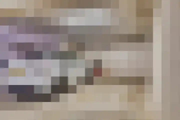 Sleep 5 Papendrecht thumbnail 31
