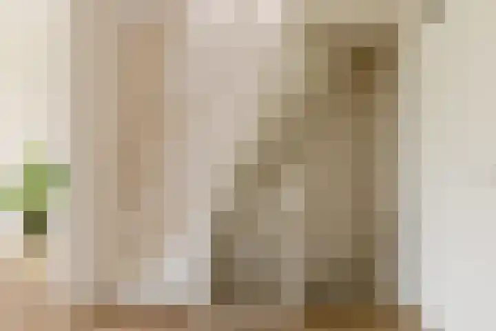 Sleephellingstraat 14 B Rotterdam thumbnail 20