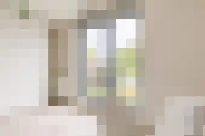 Sleephellingstraat 14 B Rotterdam thumbnail 27