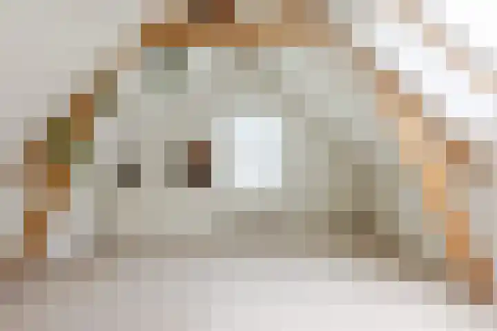 Sleephellingstraat 14 B Rotterdam thumbnail 4
