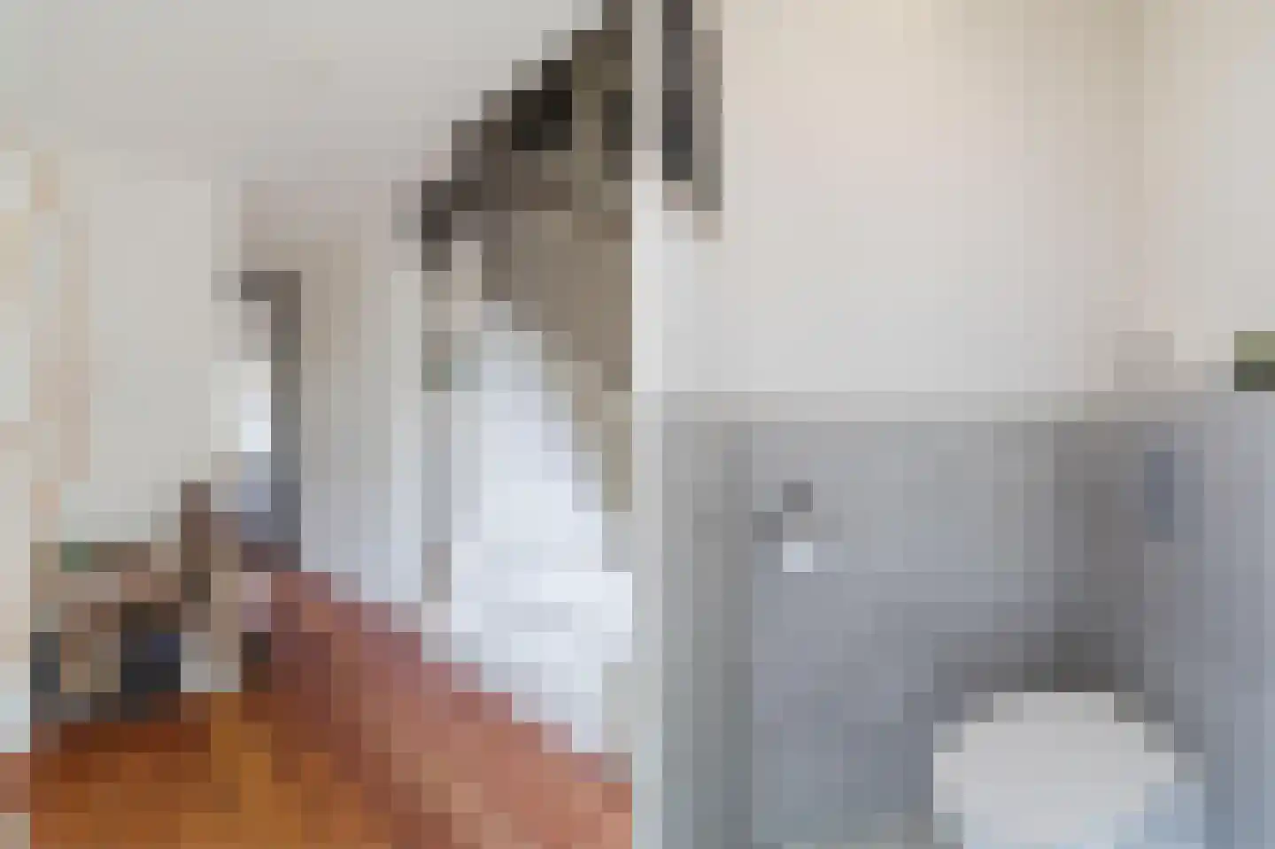 Sleephellingstraat 63 Rotterdam thumbnail 11