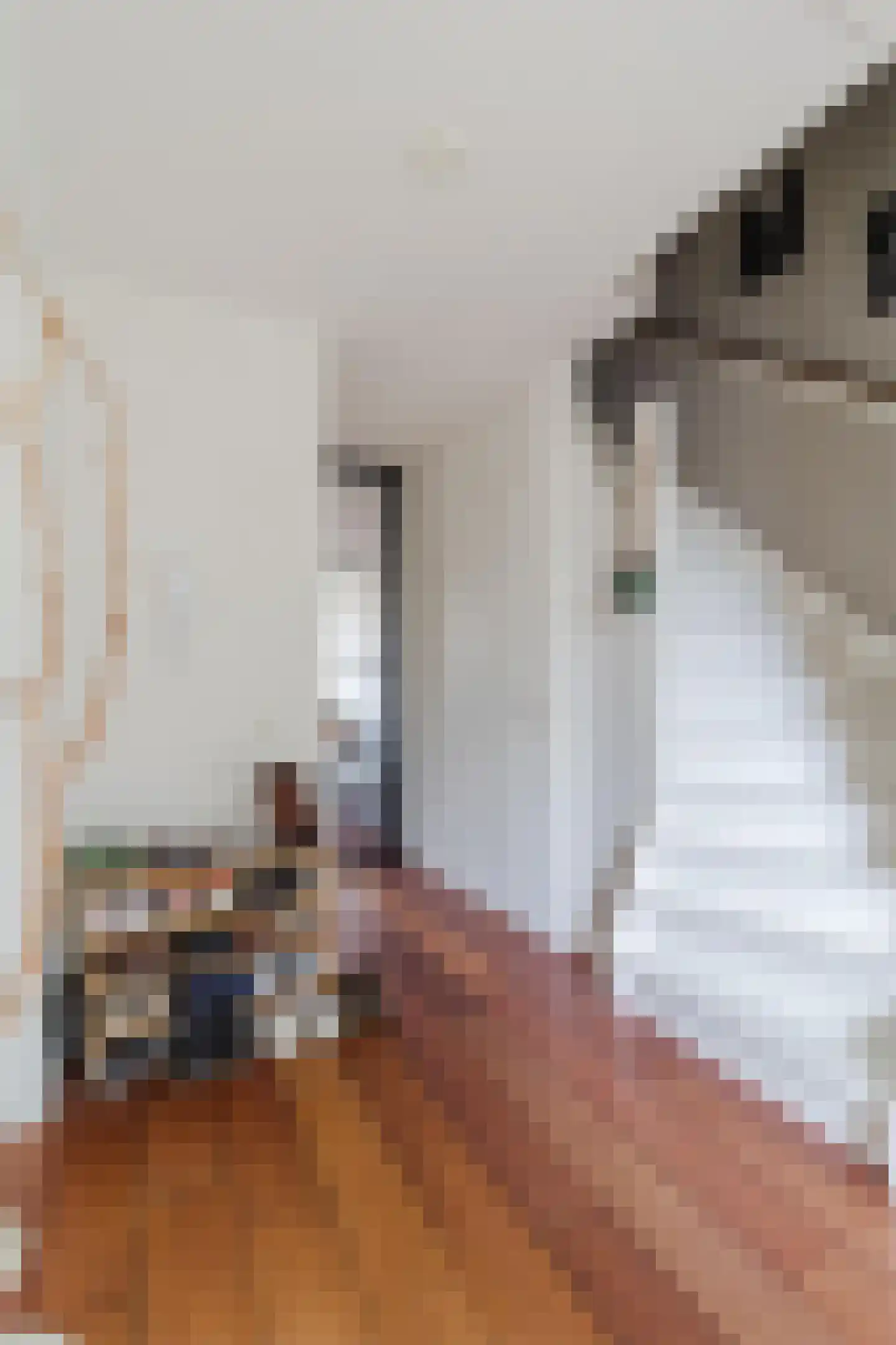 Sleephellingstraat 63 Rotterdam thumbnail 12