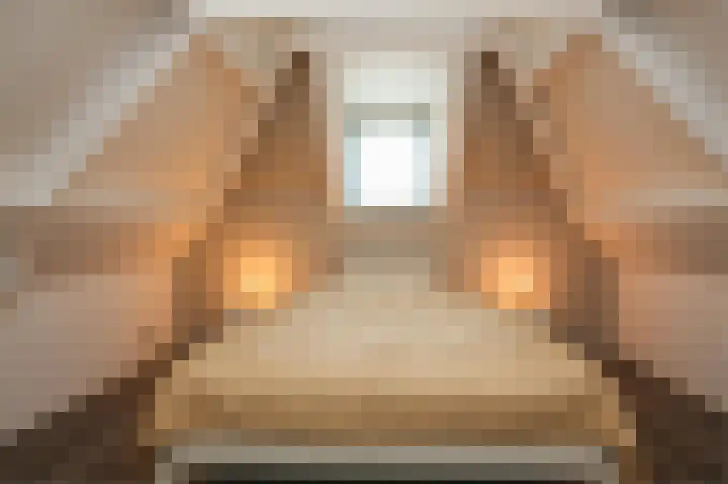Sleephellingstraat 63 Rotterdam thumbnail 4