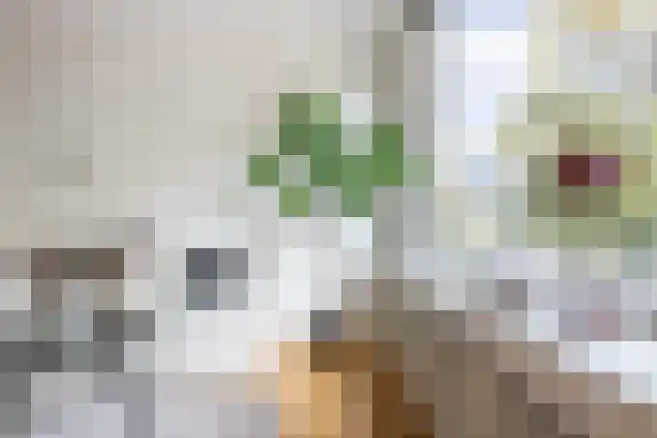 Sleephellingstraat 7 A Rotterdam thumbnail 12