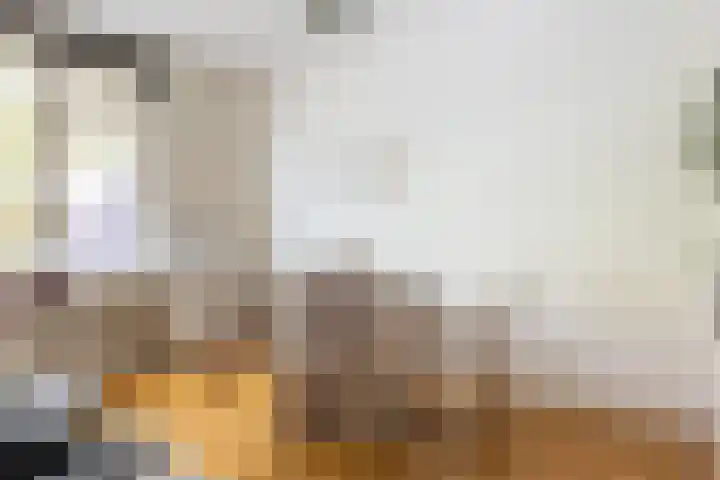 Sleephellingstraat 7 A Rotterdam thumbnail 7