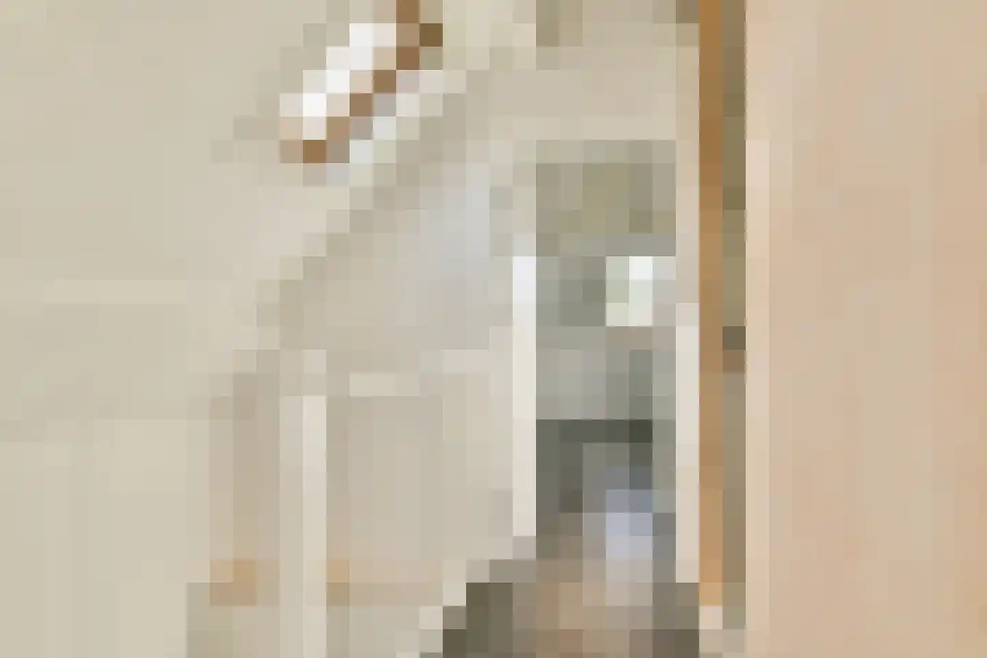 Sleephellingstraat 98 Rotterdam thumbnail 13