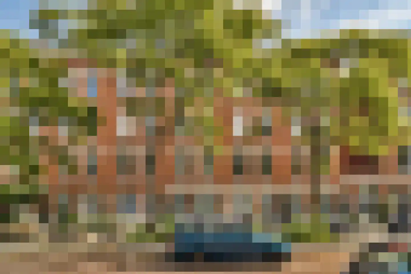 Sleephellingstraat 98 Rotterdam thumbnail 5