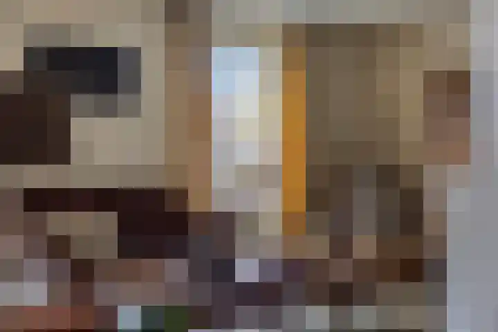 Sleestraat 20 Thorn thumbnail 10