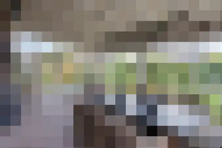 Sleestraat 20 Thorn thumbnail 19